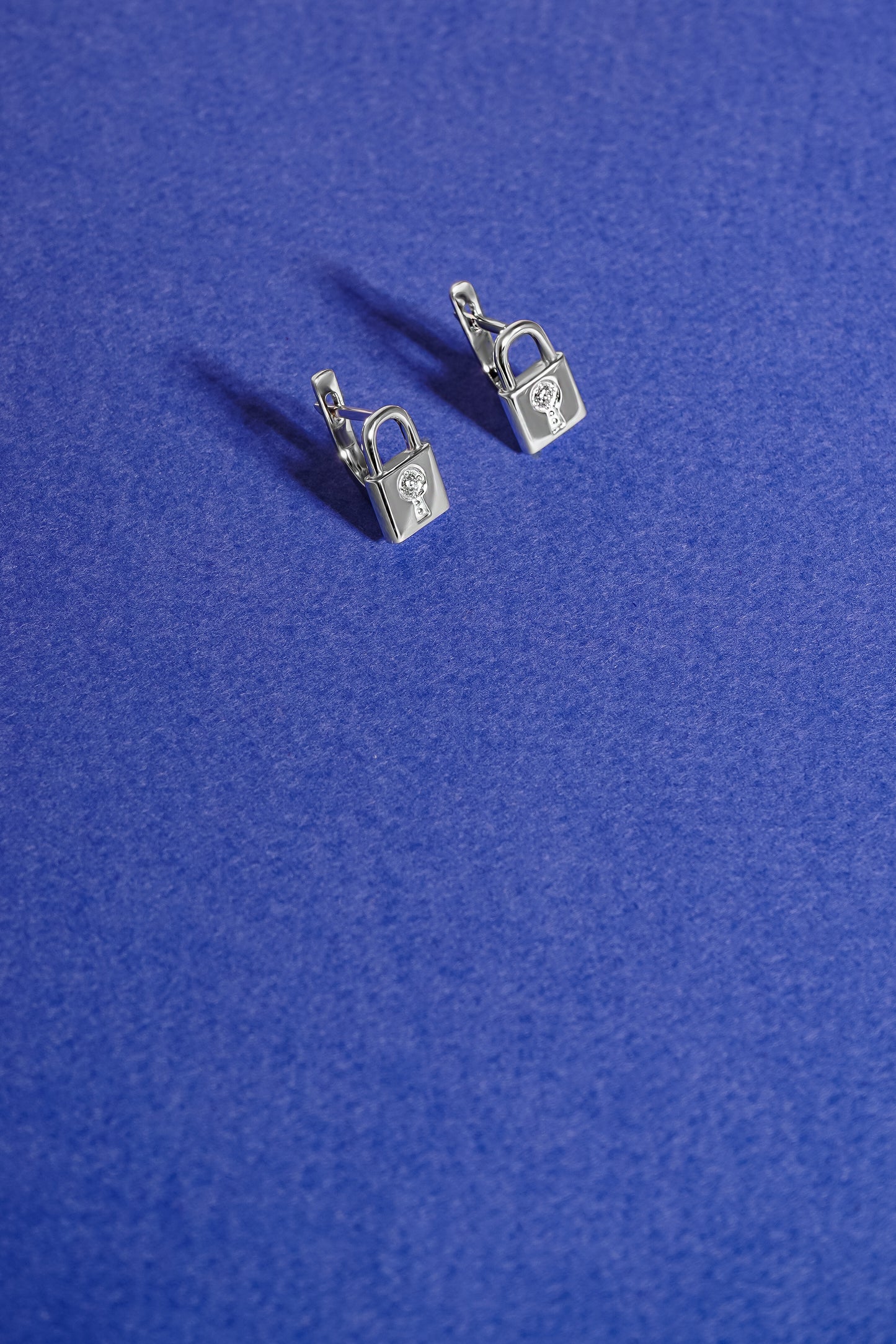 Сережки з діамантами  С4031